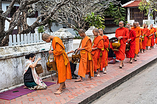 年轻,僧侣,走,街道,收集,施舍,琅勃拉邦,省,老挝