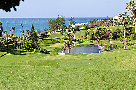 百慕大,费尔蒙特,南安普敦,酒店,高尔夫球杆