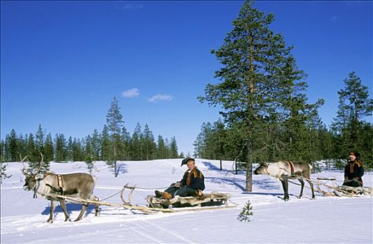 芬兰,拉普兰,两个男人,传统服装,坐,驯鹿,雪景