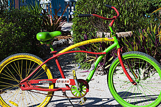 美国,佛罗里达,海湾,海岸,岛屿,彩色,自行车