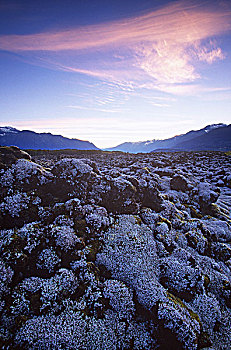 河谷,火山岩,床,纪念,省立公园,不列颠哥伦比亚省,加拿大