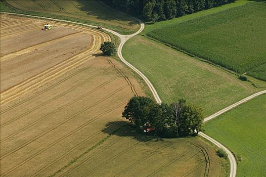 农业,小路,地点,巴伐利亚,德国