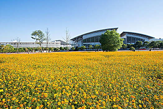 南京中医药大学药苑