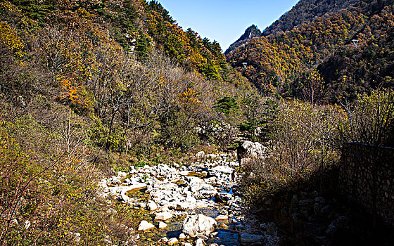 秦岭山