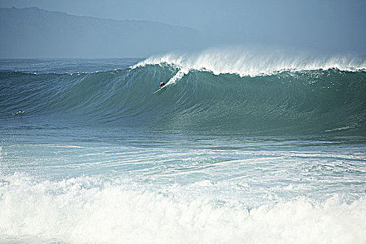 夏威夷,瓦胡岛,北岸,威美亚湾,冲浪,巨大,波浪