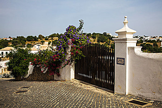 葡萄牙,塔维拉,小,花,排列,街道,城镇