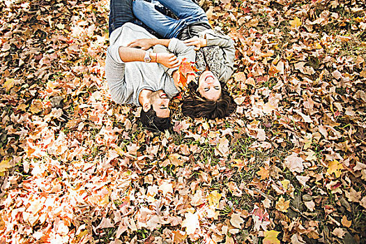 俯视,情侣,躺着,秋叶,树林
