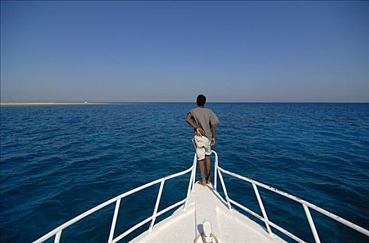 男人,船,捕鱼者,渔船,游船,红海,埃及,北非