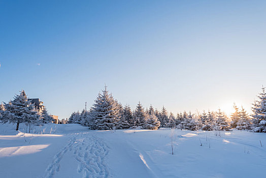 冬季长白山的雪地和雾凇