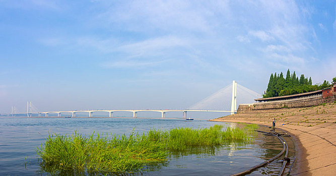 日里,长江大桥,全景