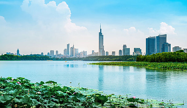 南京秦淮河夜景和城市景观