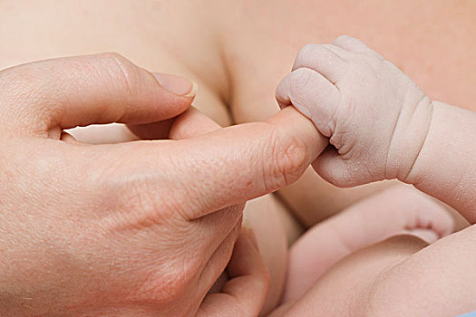 婴儿,手指,黍,艾伯塔省,加拿大