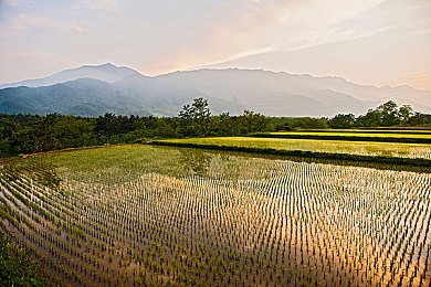 韩国风景图片