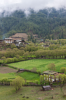 不丹,传统,住房,农场,海拔,布姆唐,区域