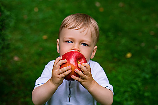 1岁,孩子,吃,大,红苹果,户外,聚焦,苹果