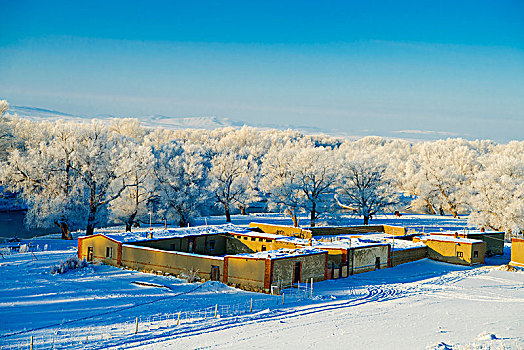 新疆,布尔津,冬日,雾松,雪景,雪地,蓝天,民居