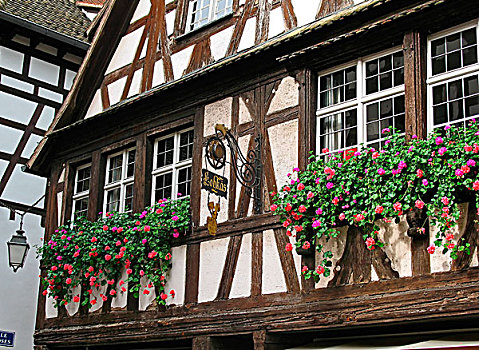 文艺复兴,半木结构房屋,世纪,小法兰西,地区,斯特拉斯堡,阿尔萨斯,法国
