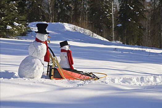 大,推,小,雪人,狗拉雪橇,大雪,下午,费尔班克斯,阿拉斯加,冬天