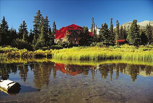 红色,房子,弓湖,树,冰原,大路,班芙国家公园,加拿大,北美,世界遗产