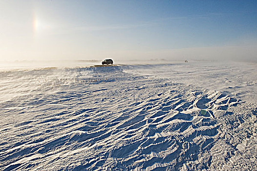 道路,遮盖,吹,雪,靠近,莫理斯,曼尼托巴,加拿大