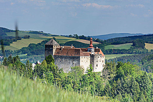 城堡,山,维也纳,阿尔卑斯山,下奥地利州,奥地利