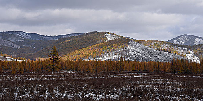 阿尔山雪景