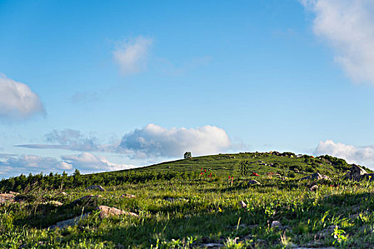 海坨山风景,绿草,树木,山顶