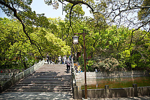 普陀山法雨寺