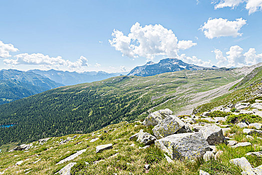 风景,山谷,意大利阿尔卑斯山,意大利