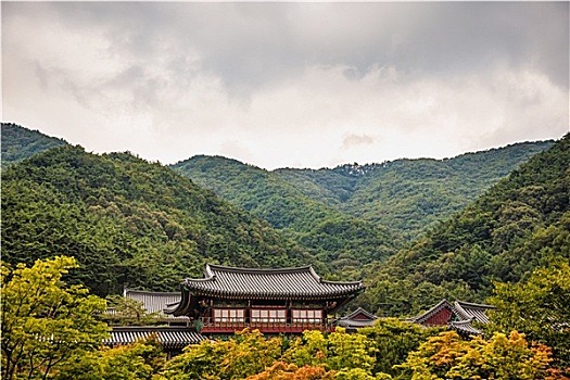 和尚,庙宇,山,韩国