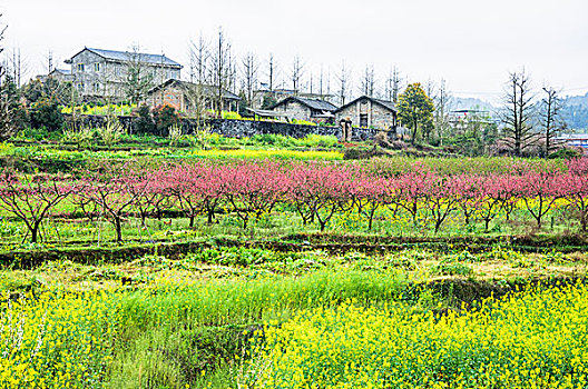 田园春色