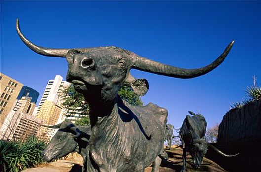 广场,青铜,雕塑,德克萨斯,长角牛,达拉斯,美国
