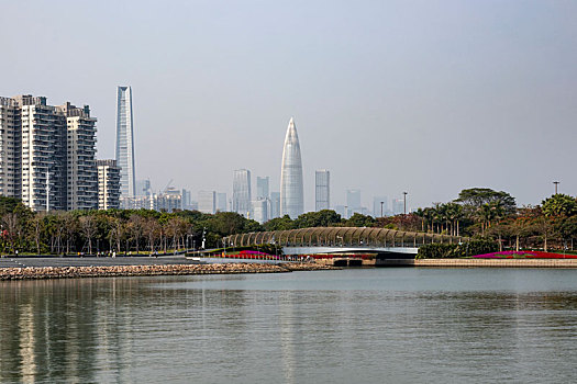 深圳湾公园景观