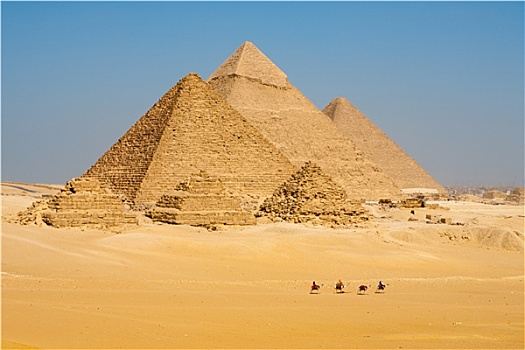 骆驼,线条,走,金字塔