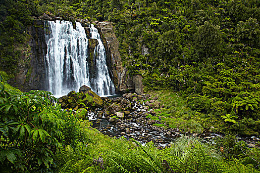 瀑布,地区,北岛,新西兰