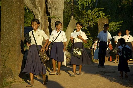 女孩,穿,校服,途中,学校,吴哥,收获,柬埔寨