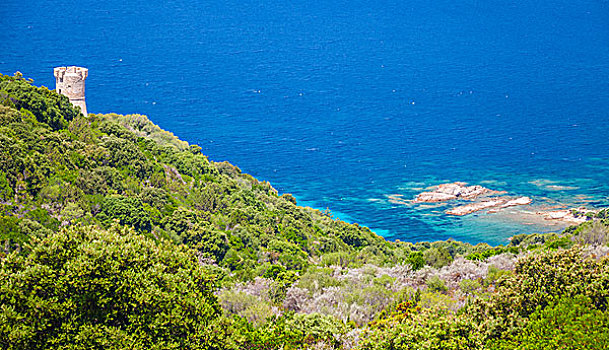 湾,古老,沿岸,塔,科西嘉岛,岛屿,法国