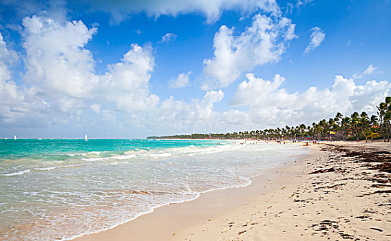 沿岸,加勒比,大西洋,多米尼加,蓬塔卡纳