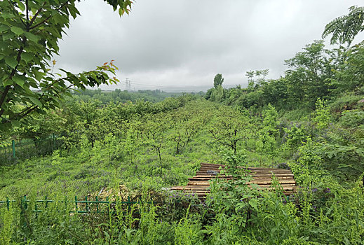 田野乡村,乡村风光,田园风光,乡村风景,田园风景,自然风光