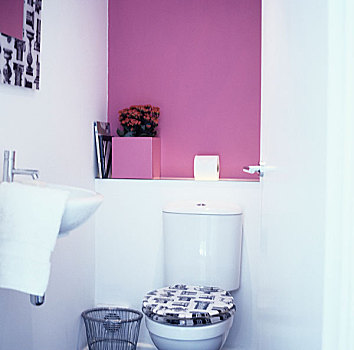 粉色,浴室,卫生间,新奇,盖子