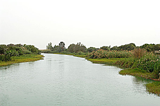 塞内加尔,河