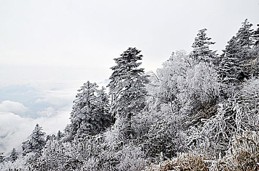 成都西岭雪山美丽雪景