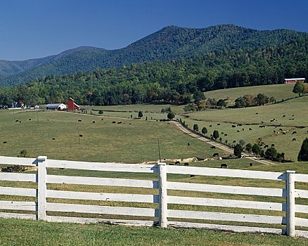 栅栏,山脉,背景,蓝脊山脉,弗吉尼亚,美国