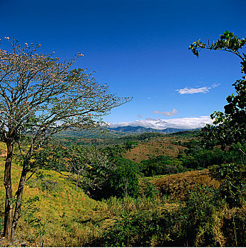 俯视,风景,哥斯达黎加