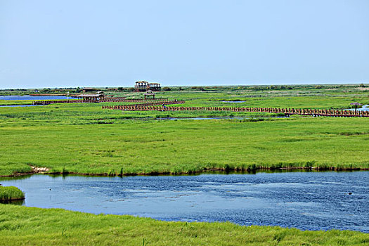中国最美湿地,千鸟湖湿地