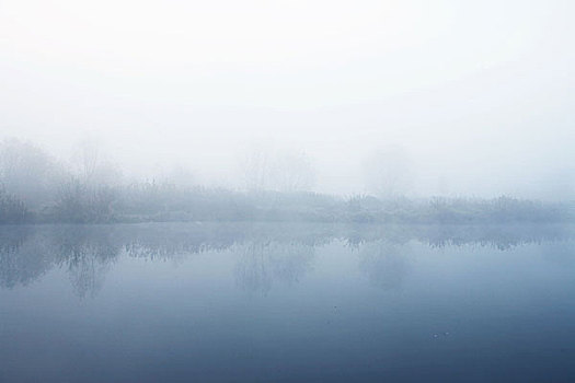 维斯瓦河,河,靠近,晨雾,波兰