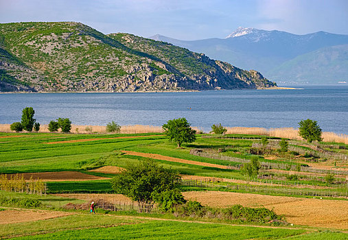 大湖,国家公园,靠近,阿尔巴尼亚,欧洲