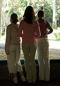 三个女孩,向窗外看,动物园