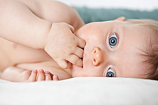 婴儿,棚拍,大,蓝眼睛