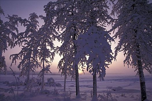 冬天,日落,河,阿拉斯加